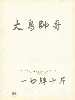 大鸟帅哥封面