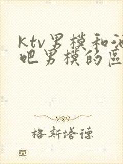 ktv男模和酒吧男模的区别