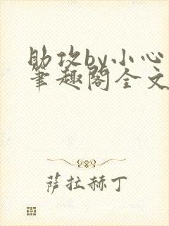 助攻by小心点笔趣阁全文免费阅读封面