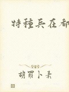 特种兵在都市