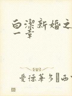 白洁新婚之夜第一章