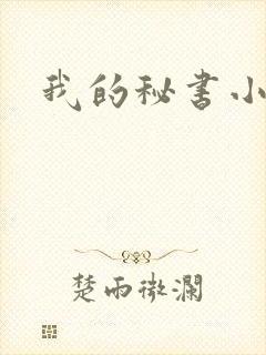 我的秘书小姐
