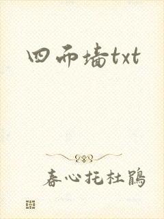 四面墙txt