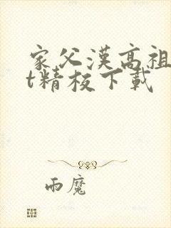 家父汉高祖txt精校下载封面