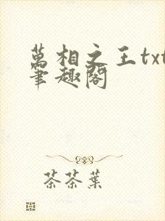 万相之王txt笔趣阁封面