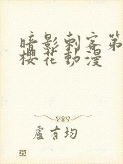 暗影刺客第5季樱花动漫封面