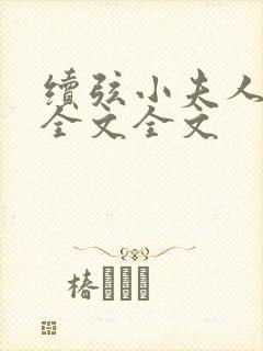 续弦小夫人阅读全文全文