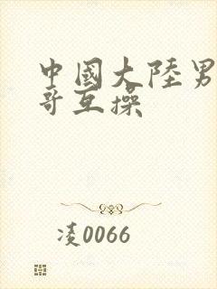 中国大陆男同帅哥互操