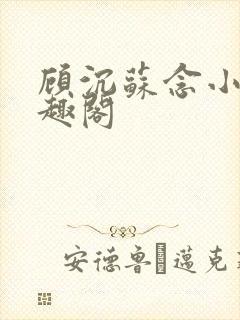 顾沉苏念小说笔趣阁封面