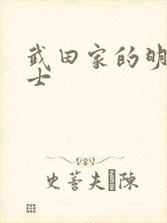 武田家的明国武士封面