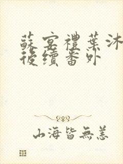 苏宴礼叶沐结局后续番外封面