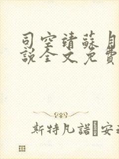 司空靖苏月汐小说全文免费阅读最新章节封面