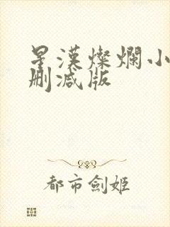 星汉灿烂小说无删减版