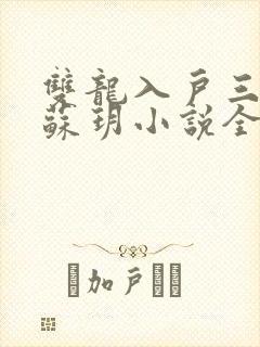 双龙入户三人行苏玥小说全文阅读封面
