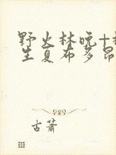 野火林晚+林潮生夏布多昂笔趣阁封面