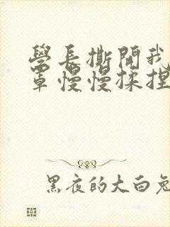 学长撕开我的乳罩慢慢揉捏小说封面