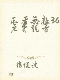 正者无敌36集免费观看封面