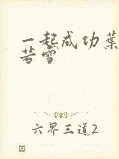 一起成功叶凡唐若雪封面