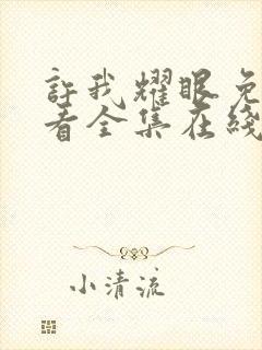 许我耀眼免费观看全集在线播放高清