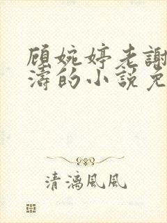 顾婉婷老谢,谢涛的小说免费阅读笔趣阁