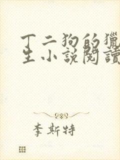 丁二狗的猎艳人生小说阅读