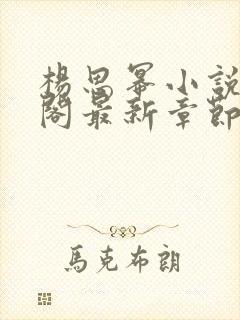 杨思幂小说笔趣阁最新章节