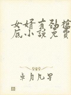 女婿有劲枪枪到底小说免费看