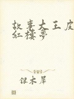 故事大王皮皮讲红楼梦