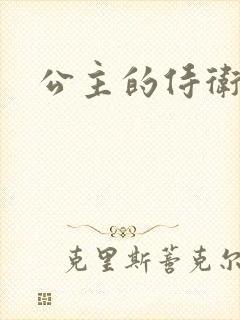 公主的侍卫封面