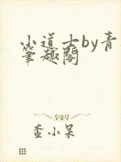 小道士by青灯笔趣阁封面