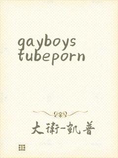 gayboystubeporn
