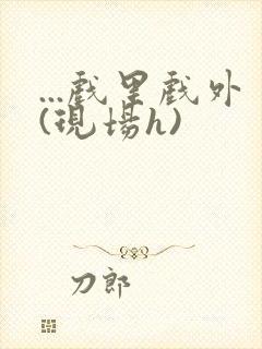 ...戏里戏外(现场h)封面