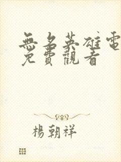 无名英雄电视剧免费观看封面