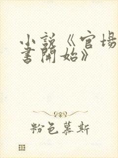 小说《官场从秘书开始》