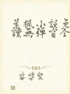 叶枫小说免费阅读无弹窗全文