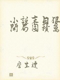 小说末日狠人:开局囤积万亿物资