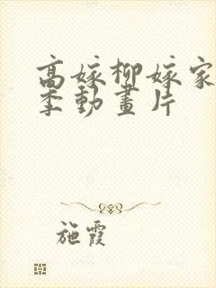 高嫁柳嫁家第二季动画片