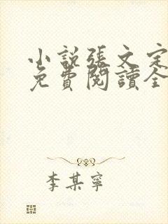 小说张文定徐莹免费阅读全文封面