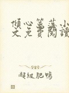 倾心篱落小说全文免费阅读无弹窗