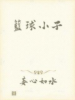 篮球小子