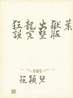 狂龙出狱叶风小说完整版