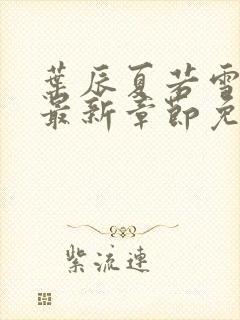 叶辰夏若雪孙怡最新章节免费阅读封面