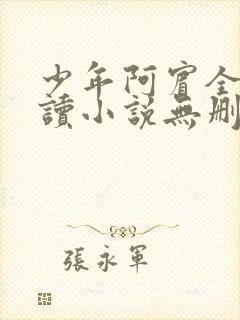 少年阿宾全文阅读小说无删减