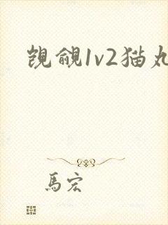 觊觎1v2猫丸