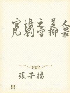 官场之美人计徐凡刘雪柳最新章节