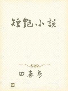 短艳小说封面