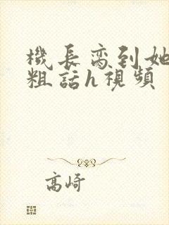 机长脔到她哭h粗话h视频