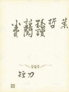 小说孙哲叶巧免费阅读