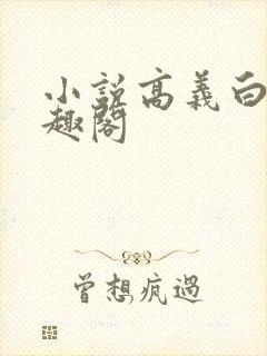 小说高义白洁笔趣阁