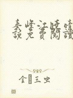 秦峰江晓晴的小说免费阅读新笔趣阁封面